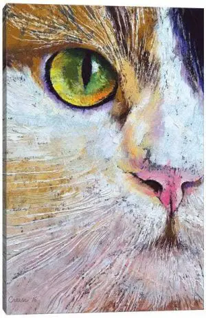 Quadro Decorativo Animais Gato - Gato II