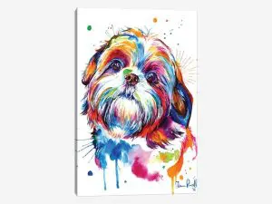 Quadro Decorativo Animais Cachorro - Shitzu