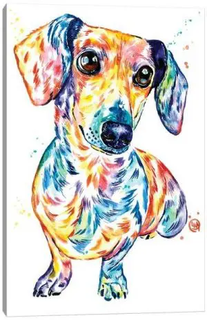 Quadro Decorativo Animais Cachorro - Dachshund