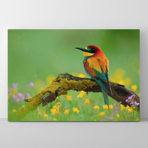 Quadro Decorativo Animais Pássaro - Pássaro no Campo de Flores