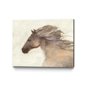 Quadro Decorativo Animais Cavalo - Cavalo Branco