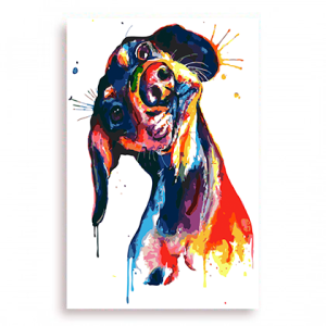 Quadro Decorativo Animais Cachorro - Dachshund