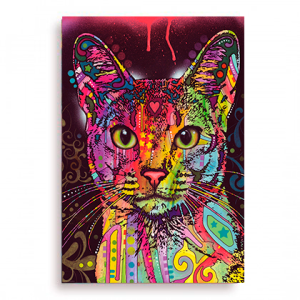 Quadro Decorativo Animais Gato - Gato Colorido I