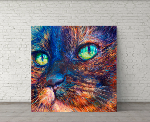 Quadro Decorativo Animais Gato - Gato I