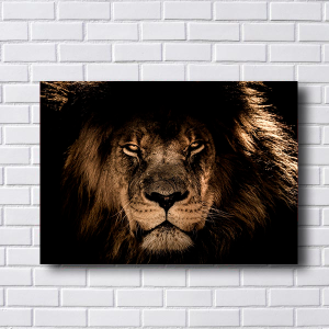 Quadro Decorativo Animais Leão - Leão Realista