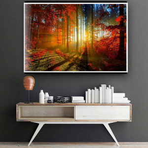 Quadro Decorativo Paisagens Natureza - Sol na Floresta