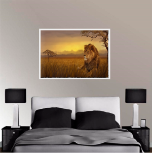 Quadro Decorativo Animais Leão - Leão na Savana