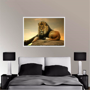 Quadro Decorativo Animais Leão - Leão na Montanha