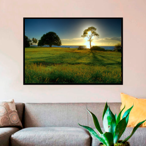 Quadro Decorativo Paisagens Natureza - Árvore no campo com Sol