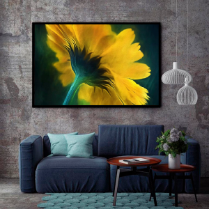 Quadro Decorativo Floral - Girassol em Close