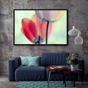 Quadro Decorativo Floral - Tulipa Branca e Vermelha