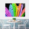 Quadro Decorativo Floral - Pétalas Molhadas Coloridas de Girassol - Image 3