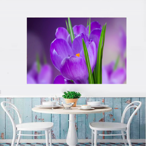 Quadro Decorativo Floral - Tulipa Violeta