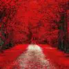 Quadro Decorativo Paisagens Natureza - Caminho Vermelho - Image 5