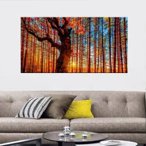 Quadro Decorativo Paisagens Natureza - Frestas de Sol na Floresta