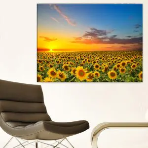 Quadro Decorativo Paisagens Natureza - Nascer do Sol no Campo de Girassóis