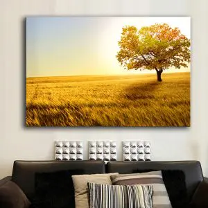 Quadro Decorativo Paisagens Natureza - Árvore no Campo