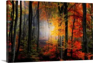 Quadro Decorativo Paisagens Natureza - Luzes Coloridas