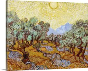 Quadro Decorativo Pintores Famosos - Àrvores de Oliveiras - Van Gogh