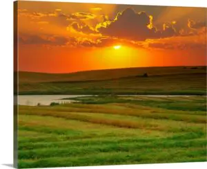 Quadro Decorativo Paisagens Natureza - Por do Sol na Plantação