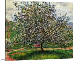 Quadro Decorativo Pintores Famosos - O Pomar - Monet